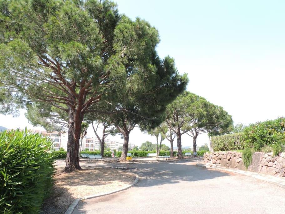 Ginkgo Studio - Piscine, Proche De La Mer, Golf, Wifi Мандельє-ла-Напуль Екстер'єр фото