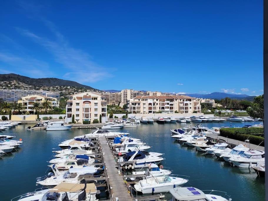 Ginkgo Studio - Piscine, Proche De La Mer, Golf, Wifi Мандельє-ла-Напуль Екстер'єр фото
